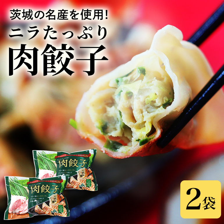 【数量限定】 ニラたっぷり肉餃子 2袋 17-U茨城県小美玉市9000鍋セット・総菜・加工食品総菜