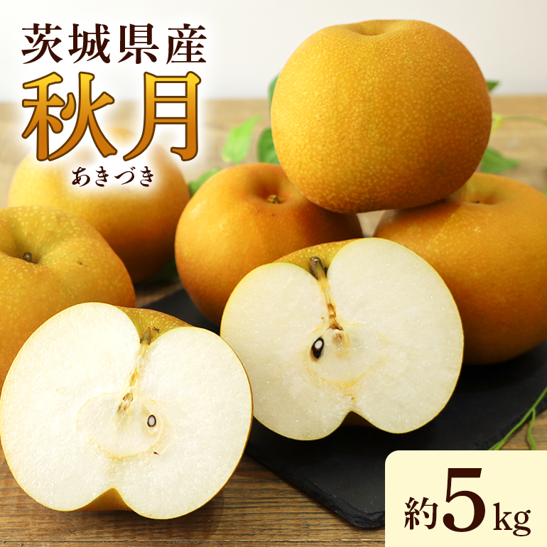 【数量限定 / 夏季限定】 梨(秋月) 約5kg 17-X茨城県小美玉市11000果物・フルーツりんご・梨