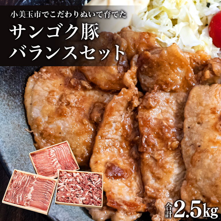 サンゴク豚(バランスセット) 2-B茨城県小美玉市17000肉豚肉