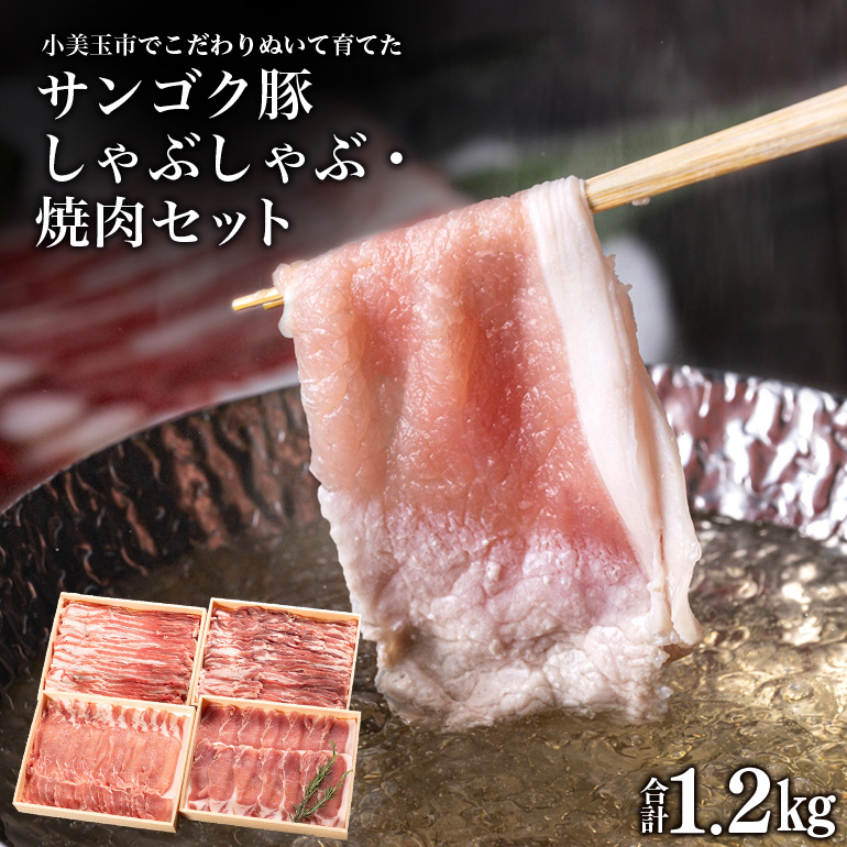 サンゴク豚 しゃぶしゃぶ・焼き肉セット 1.2kg 2-K茨城県小美玉市10000肉豚肉