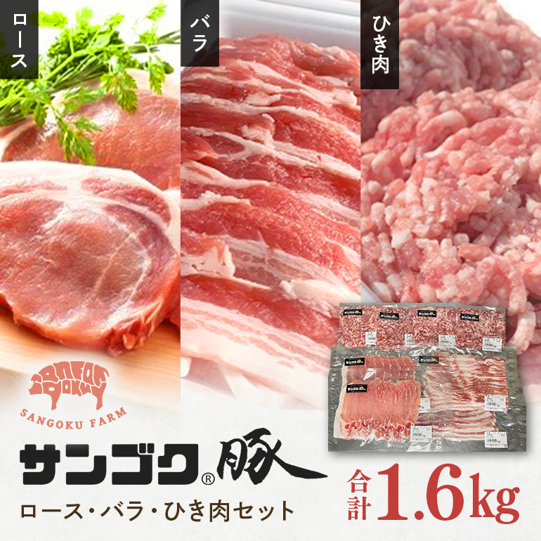 TSN [XEoEЂZbg 1.6kg 2-N錧ʎs11000ؓ