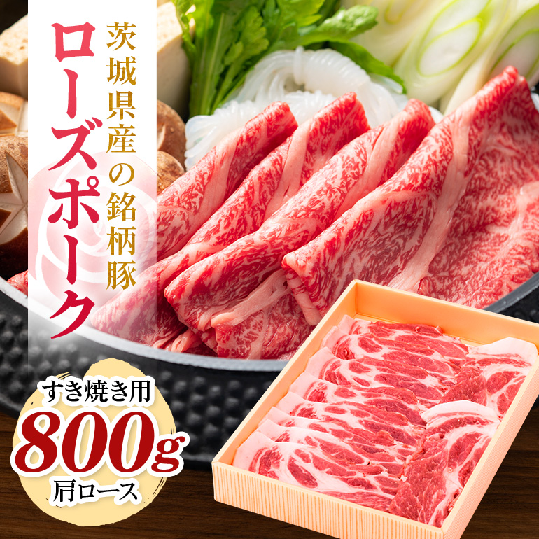 錧Y؃[Y|[N[XĂp800g(錧ʕԗi) Ⓚ ؓ [X Ă [Y|[N Y  j LO Mtg  蕨 j j a 29-P