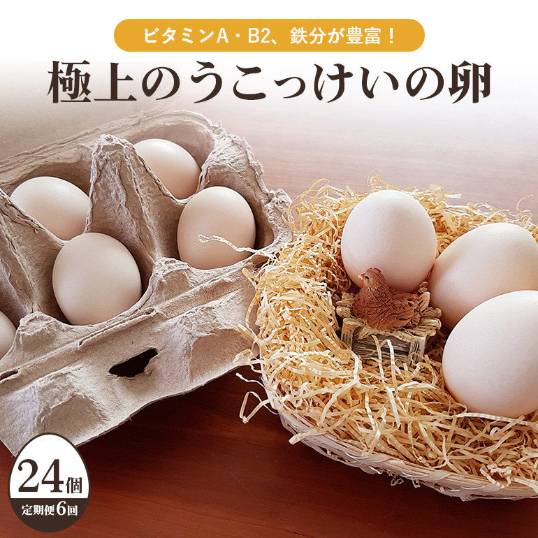 平飼い極上のうこっけいの卵(24個(20+補償4個)×定期便6回) 37-B茨城県小美玉市90000卵・乳製品卵(鶏、烏骨鶏等)