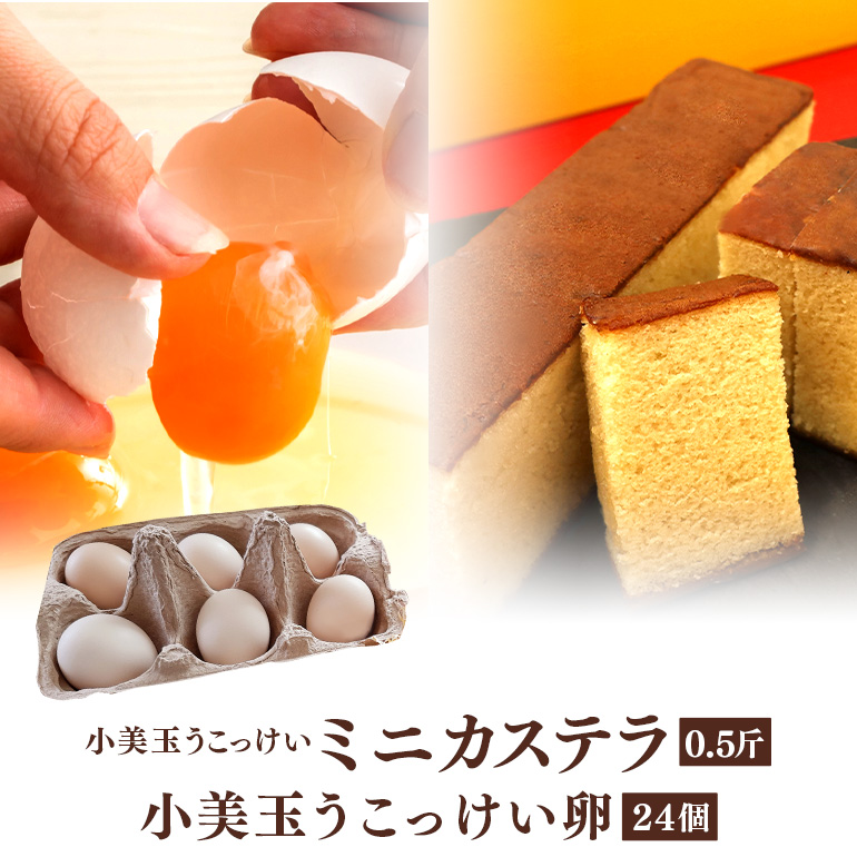 小美玉ミニカステラとうこっけい卵(24個(20+補償4個))セット 37-N茨城県小美玉市24000菓子・スイーツケーキ・カステラ