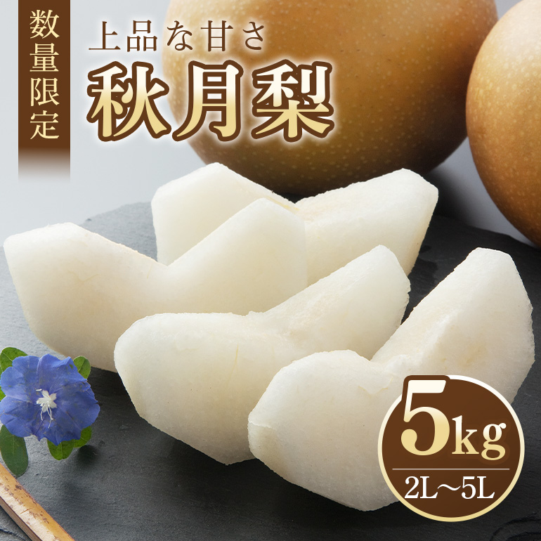 yʌEԌz H 5kg 2L`5L 9`16 y910`10\z 70-D錧ʎs12000ʕEt[c񂲁E