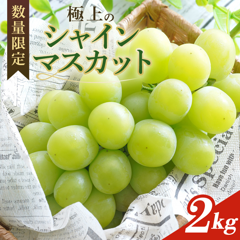 <2025年 先行予約> シャインマスカット 数量限定 2kg【8月25日以降発送予定】 70-J茨城県小美玉市15000果物・フルーツマスカット・ぶどう