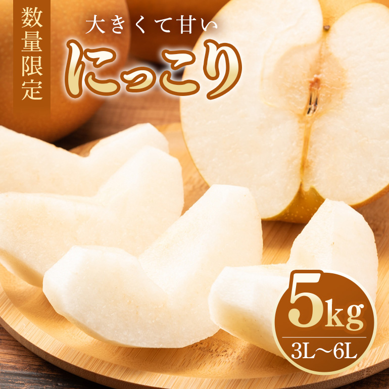 【数量限定・期間限定】 にっこり 5kg 3L〜6L 7〜14玉 【10月1日〜11月末発送予定】 70-O茨城県小美玉市12000果物・フルーツりんご・梨