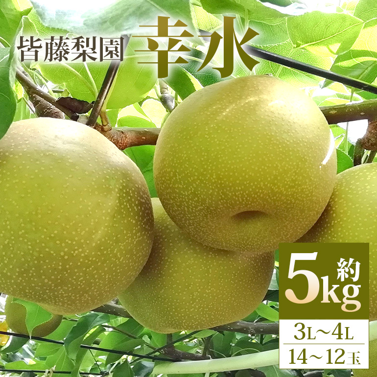 yʌEs\zyFzKi5kg/3L`4L/14`12ʁj y8{ȍ~\z 75-A錧ʎs14000ʕEt[c񂲁E