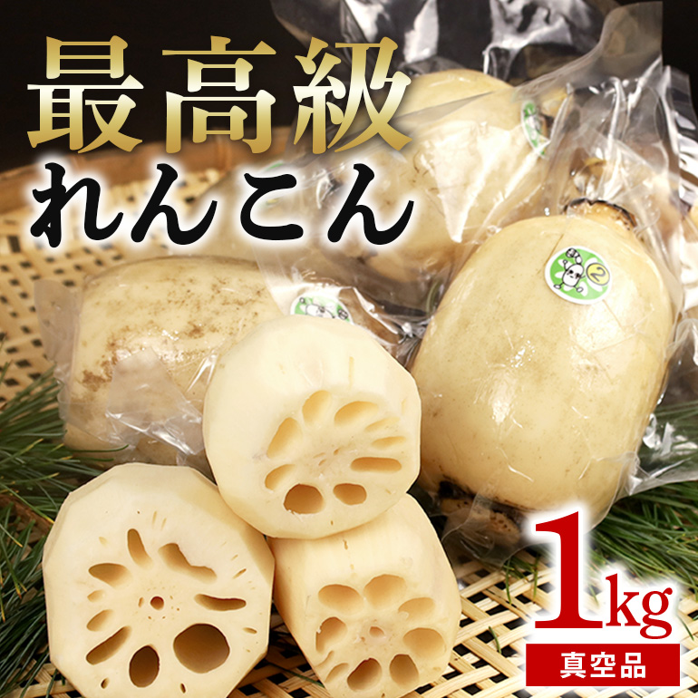 【最高級Bigれんこん珠美】真空品 1kg 77-C茨城県小美玉市10000野菜・きのこ大根・ニンジン・根菜類