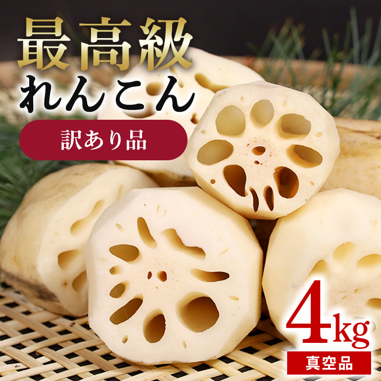訳あり品【最高級Bigれんこん珠美】真空品 4kg 77-D茨城県小美玉市17000野菜・きのこ大根・ニンジン・根菜類