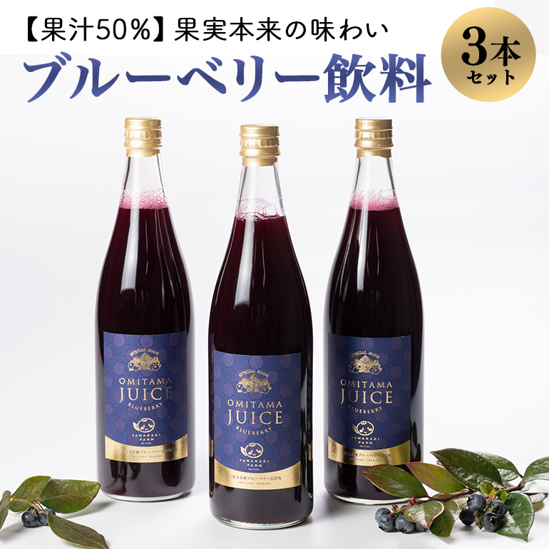 果汁50%ブルーベリー飲料3本セット 9-A茨城県小美玉市17000お茶・飲料果汁・野菜飲料