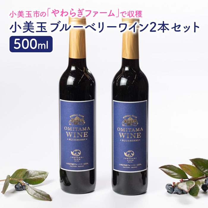 小美玉ブルーベリーワイン2本セット 9-F茨城県小美玉市17000酒・アルコールワイン