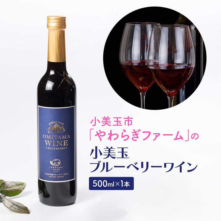 小美玉ブルーベリーワイン1本 9-J茨城県小美玉市10000酒・アルコールワイン