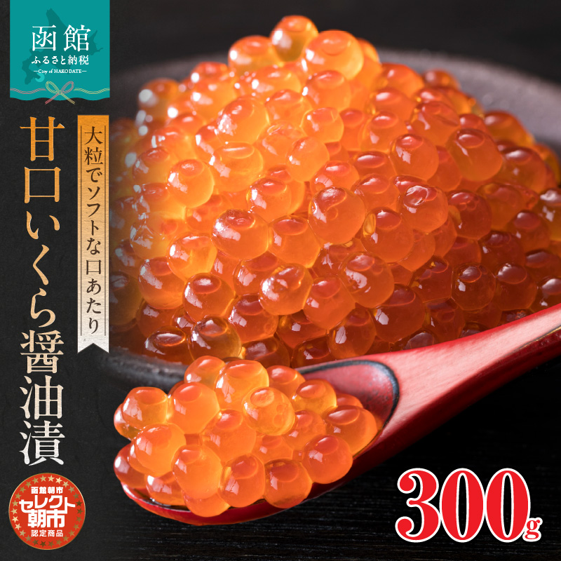 ZNgsuÌݖЁv300g_HD009-031kCَs24000ECY
