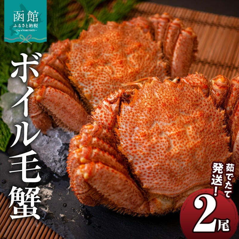 茹でたて発送!ボイル毛蟹2尾_HD088-002北海道函館市88000魚介・海産物カニ