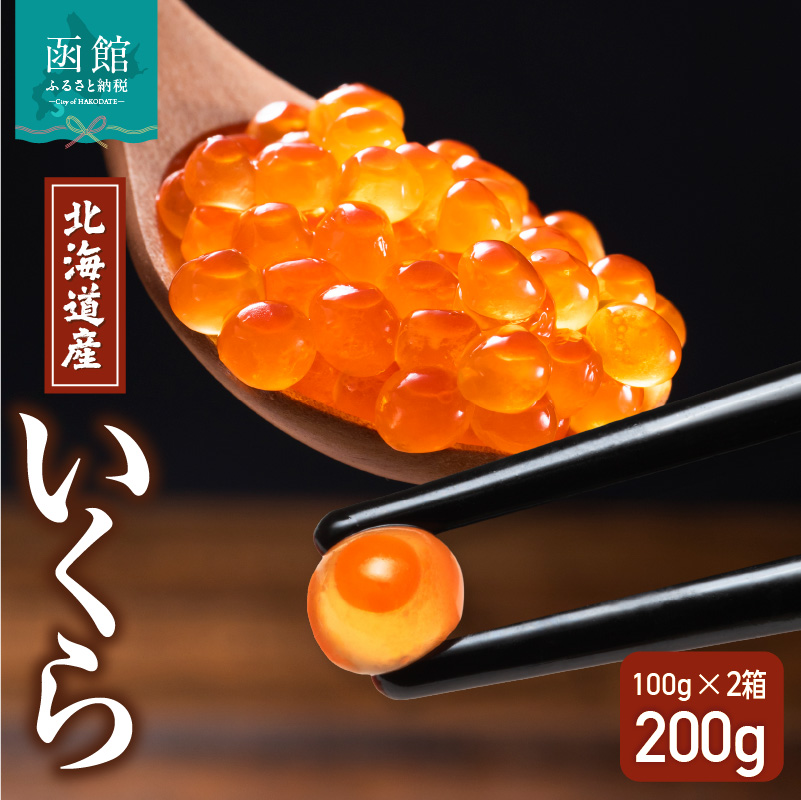 北海道産いくら 100g×2箱_HD117-030北海道函館市11000魚介・海産物いくら
