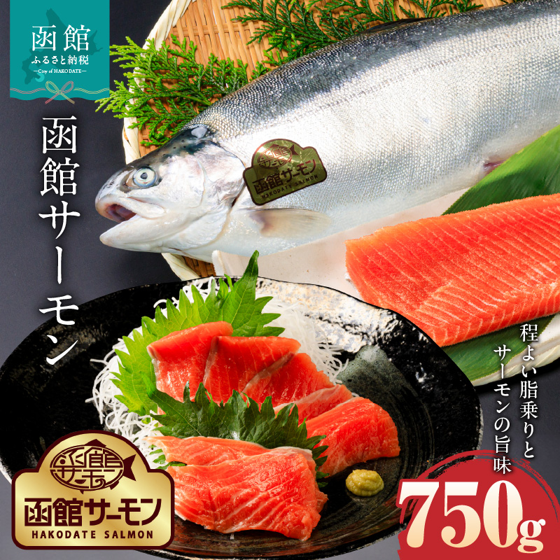 函館サーモン(750g)_HD231-013北海道函館市15000魚介・海産物その他 魚介・海産物