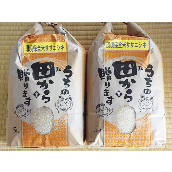 米 宮城 ササニシキ 10kg (5kg×2袋) 愛宕ふぁーむ お米 白米 精米 単一原料米 ブランド米 小分け こめ コメ おこめ ご飯 ごはん 10キロ ささにしき 産地直送  岩沼産 環境保全米 宮城県 岩沼市宮