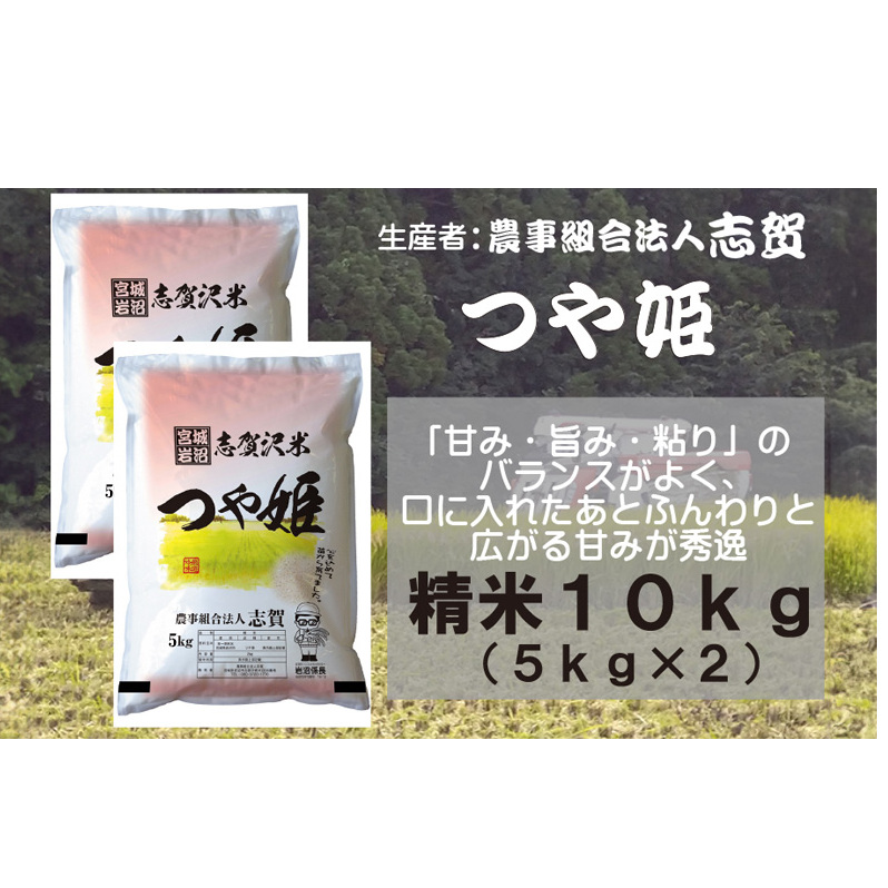 【10月受付再開予定/令和7年産新米】米 つや姫 10kg (5kg×2) 志賀沢米 岩沼産 お米 白米 精米 ブランド米 単一原料米 5キロ 10キロ こめ コメ おこめ ご飯 ライス つやひめ 宮城県産つや姫 東北