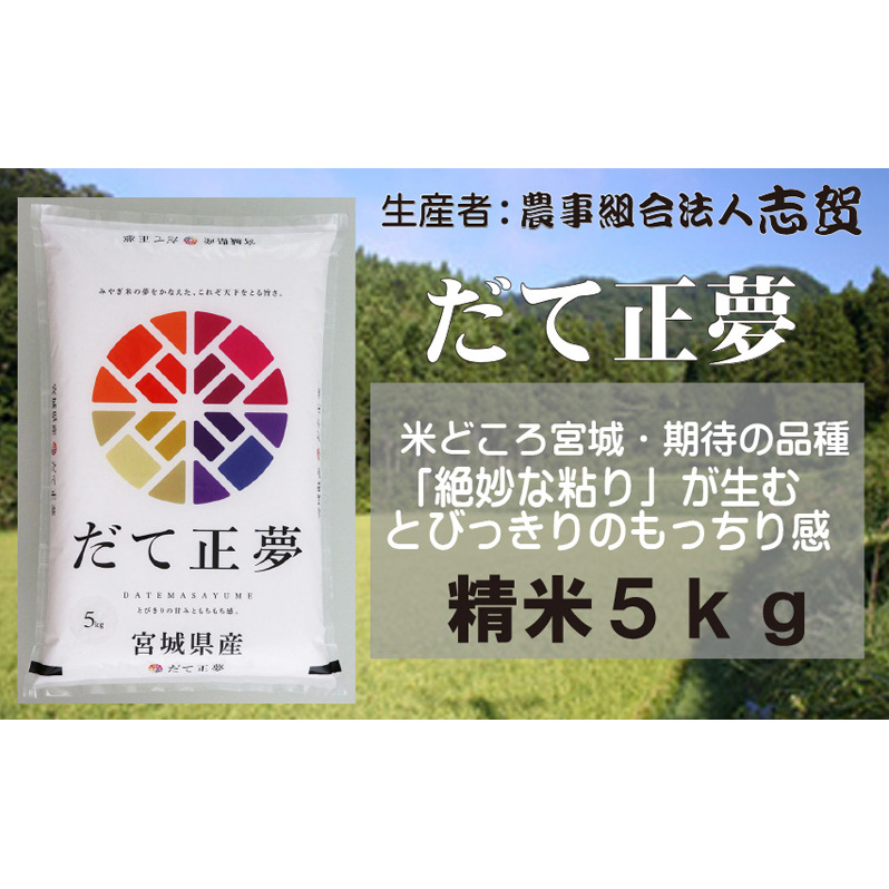 【10月受付再開予定/令和7年産新米】米 だて正夢 5kg 志賀沢米 岩沼産 お米 白米 精米 ブランド米 単一原料米 5キロ こめ コメ おこめ ご飯 ライス 東北 宮城県産 だてまさゆめ 宮城米 絶妙な