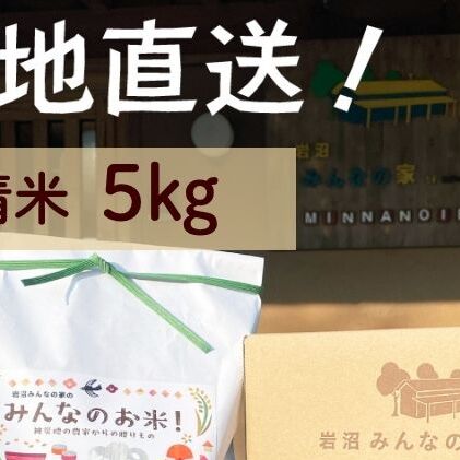 米 ひとめぼれ 5kg 岩沼みんなの家 みんなのお米! 精米 お米 白米 単一原料米 ブランド米 東北 震災 支援 こめ コメ おこめ ご飯 ごはん 5キロ 産地直送  宮城県産 宮城 宮城県 岩沼市宮城県岩