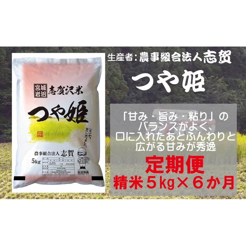 【10月受付再開予定/令和7年産新米】米 定期便 6ヶ月 つや姫 5kg 志賀沢米 岩沼産 お米 白米 精米 ブランド米 単一原料米 5キロ こめ コメ おこめ ご飯 ライス つやひめ 宮城県産つや姫 東北 宮
