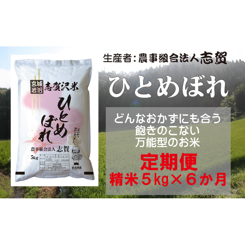 【令和7年産新米】【6ヶ月定期便】宮城県岩沼市産 志賀沢米 ひとめぼれ 精米5kg 宮城県岩沼市80000米・パン白米