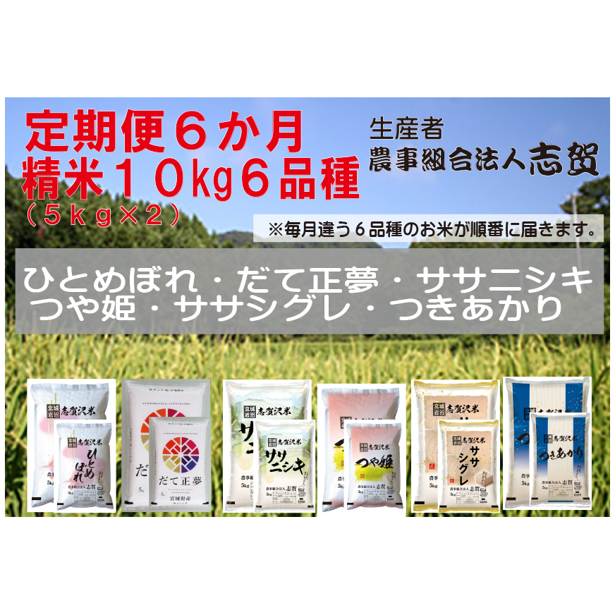 【令和7年産新米】食べ比べ!【6ヶ月定期便】宮城県岩沼市産 志賀沢米 10kg サブスク  宮城県岩沼市148000米・パン白米