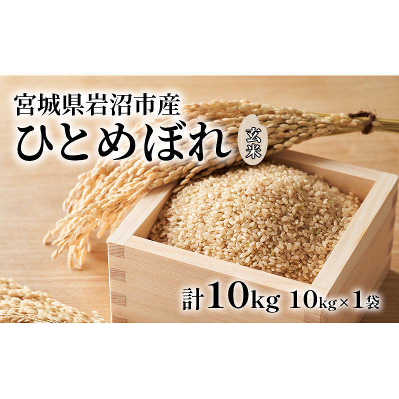 玄米 ひとめぼれ 10kg 米 ブランド米 単一原料米 10キロ おこめ ご飯 ライス 宮城県産ひとめぼれ 東北 宮城県産 宮城米 宮城 宮城県 岩沼市宮城県岩沼市18000米・パン玄米・雑穀米・もち米・餅