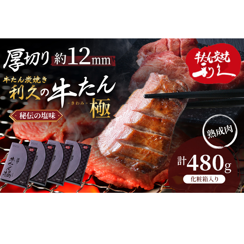 【特別寄附額】 牛タン 極 480g (120g×4個) セット 利久 牛たん 熟成肉 タン塩 厚切り牛タン 牛 牛肉 肉 お肉 タン タン中 タン元 厚切り 焼肉 焼き肉 惣菜 おかず ごはんのお供 ギフト プレゼン