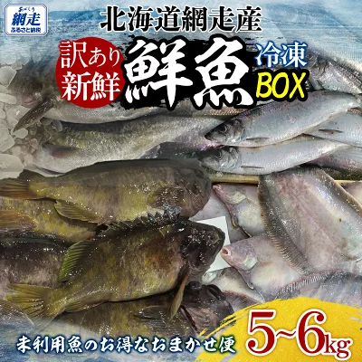 【先行受付】【訳あり】網走産冷凍鮮魚BOX〜未利用魚の有効活用(漁業生産者応援企画)〜(2026年2月より順次発送) ABAE011北海道網走市10000魚介・海産物その他 魚介・海産物