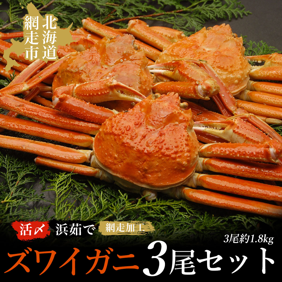 活〆浜茹でズワイガニ冷凍3尾セット(網走加工) ABAO1004北海道網走市50000魚介・海産物カニ
