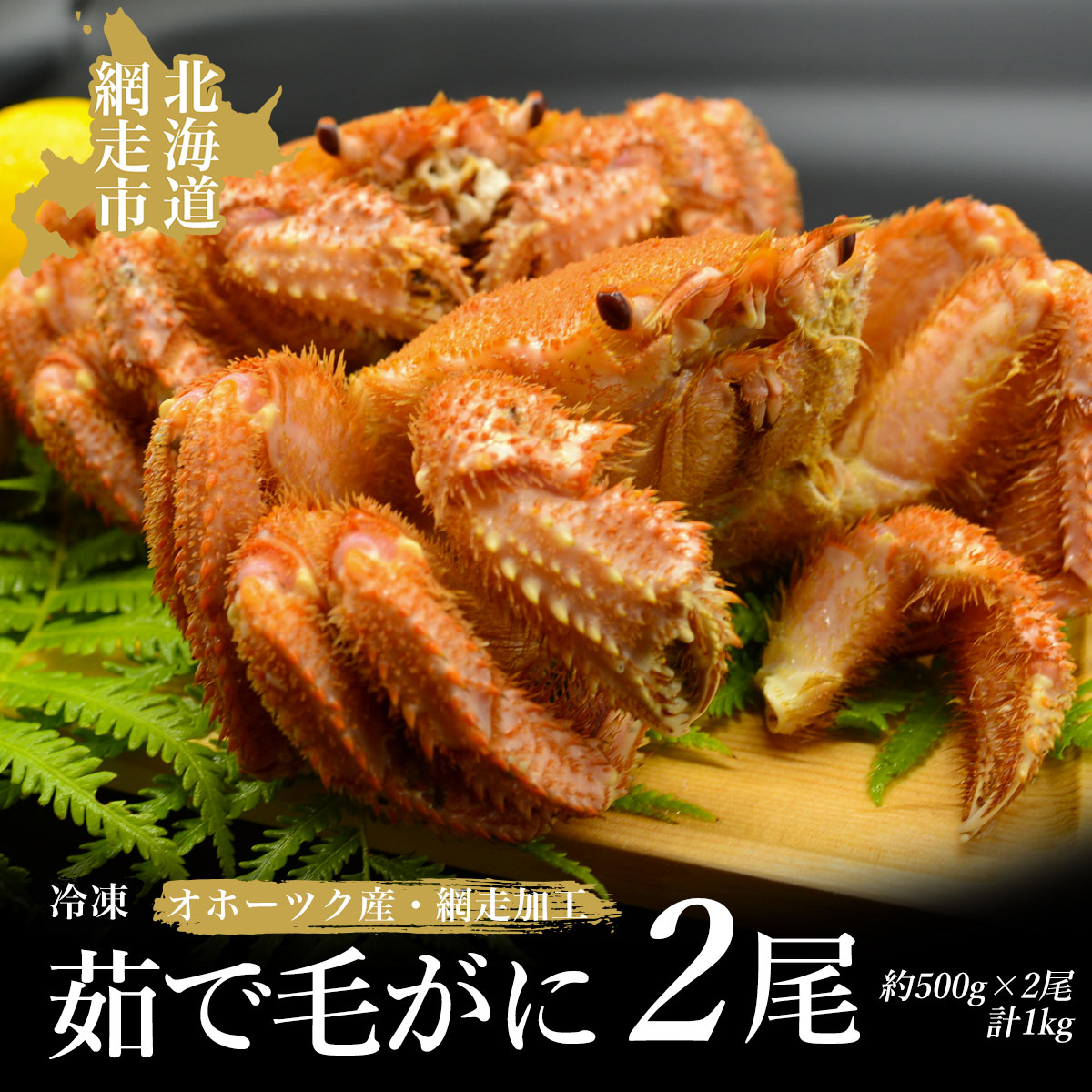Iz[cNY䥂ŖтɁiⓀj2iԑHj ABAO2101kCԑs50000ECYJj