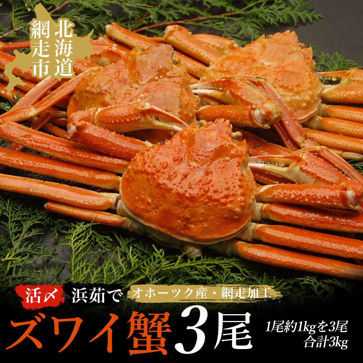 活〆茹でズワイ蟹3尾で約3kgセット(オホーツク海産・網走加工) ABAO2158北海道網走市60000魚介・海産物カニ