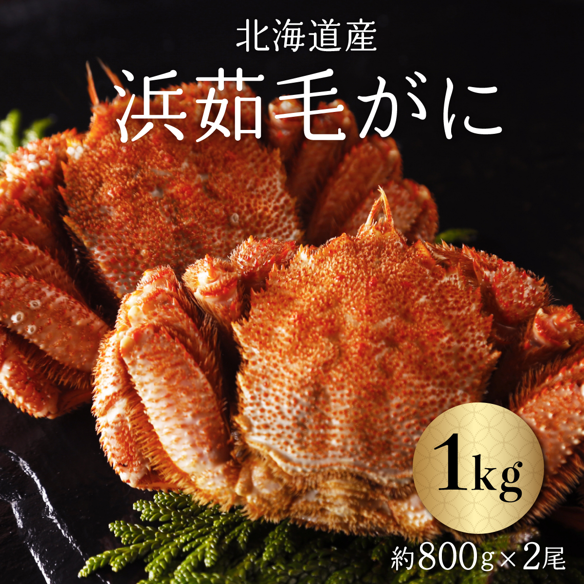 浜茹毛がに 約800g×2尾(北海道産) ABC003北海道網走市100000魚介・海産物カニ