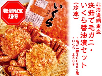 【数量限定】「浜茹で毛ガニ・イクラ醤油漬セット」冷凍(網走加工) ABC007北海道網走市50000魚介・海産物カニ