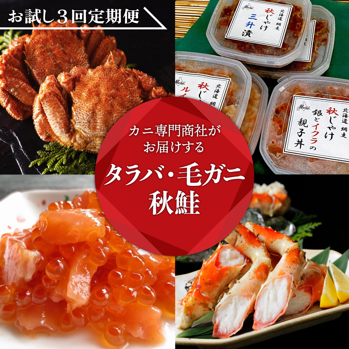 【定期便】カニ専門商社がお届けする タラバ・毛ガニ・秋鮭お試し3回定期便(網走加工) ABC013北海道網走市140000魚介・海産物カニ