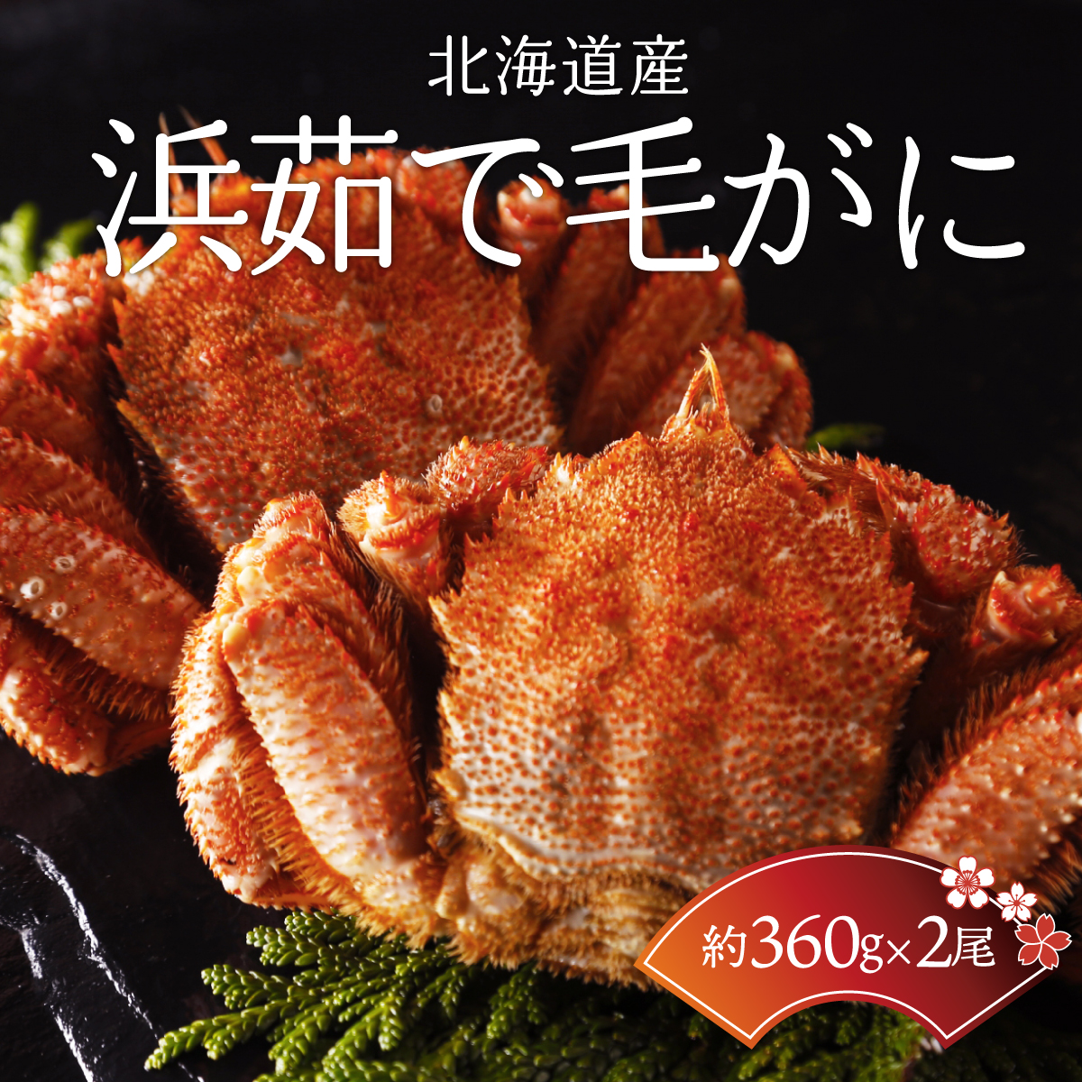<北海道産>浜茹で毛がに【360g×2尾】(網走加工) ABC015北海道網走市45000魚介・海産物カニ