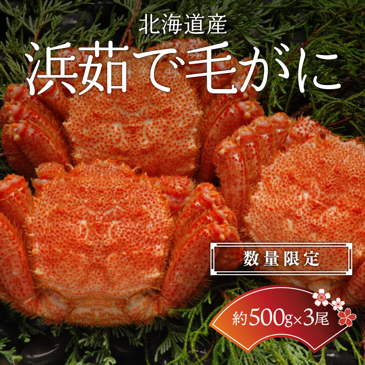 【数量限定】<北海道産>浜茹で毛がに【約500g×3尾】(網走加工) ABC017北海道網走市90000魚介・海産物カニ