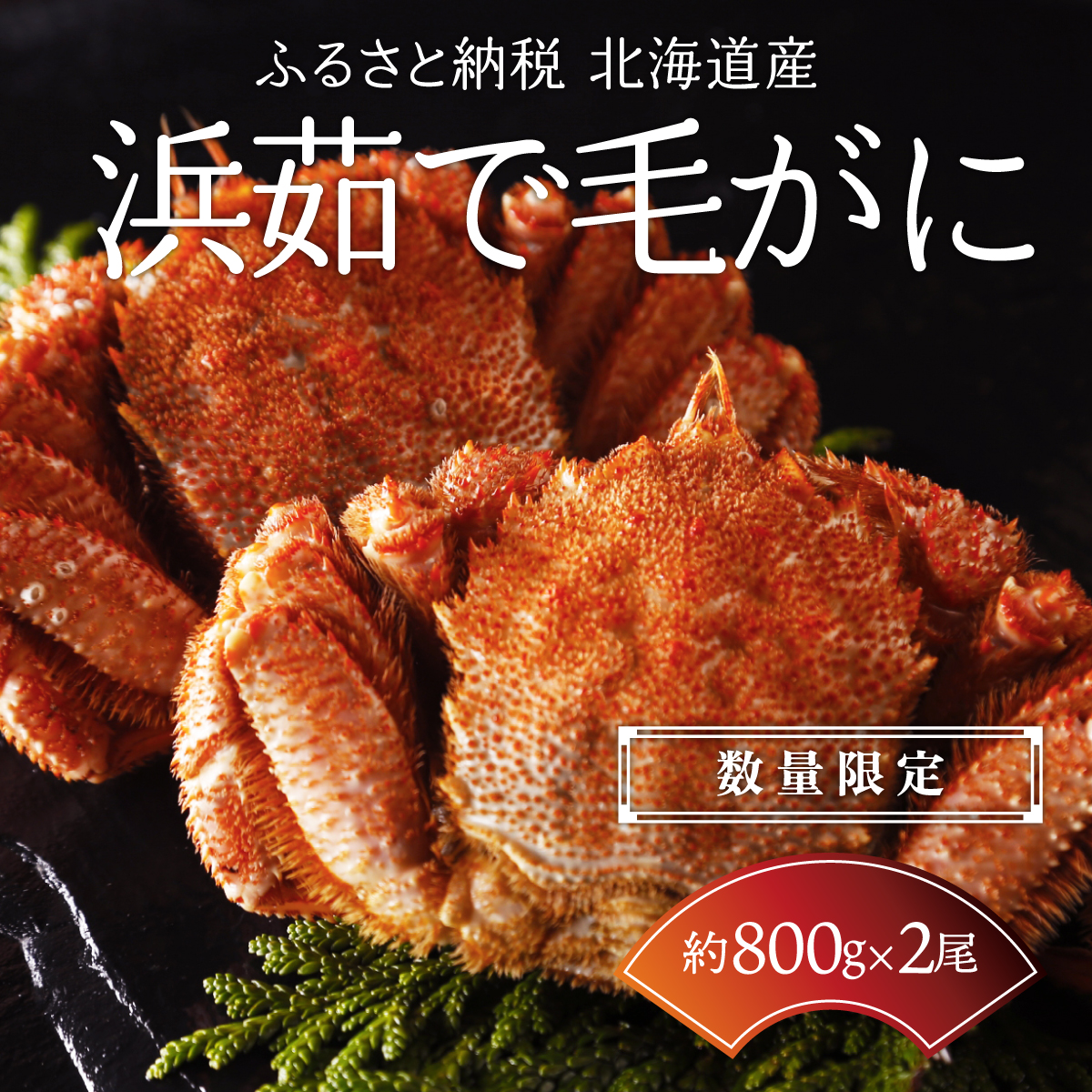 【数量限定】北海道産 毛ガニ 浜茹で毛ガニ【約800g×2尾セット】 ABC029北海道網走市100000魚介・海産物カニ