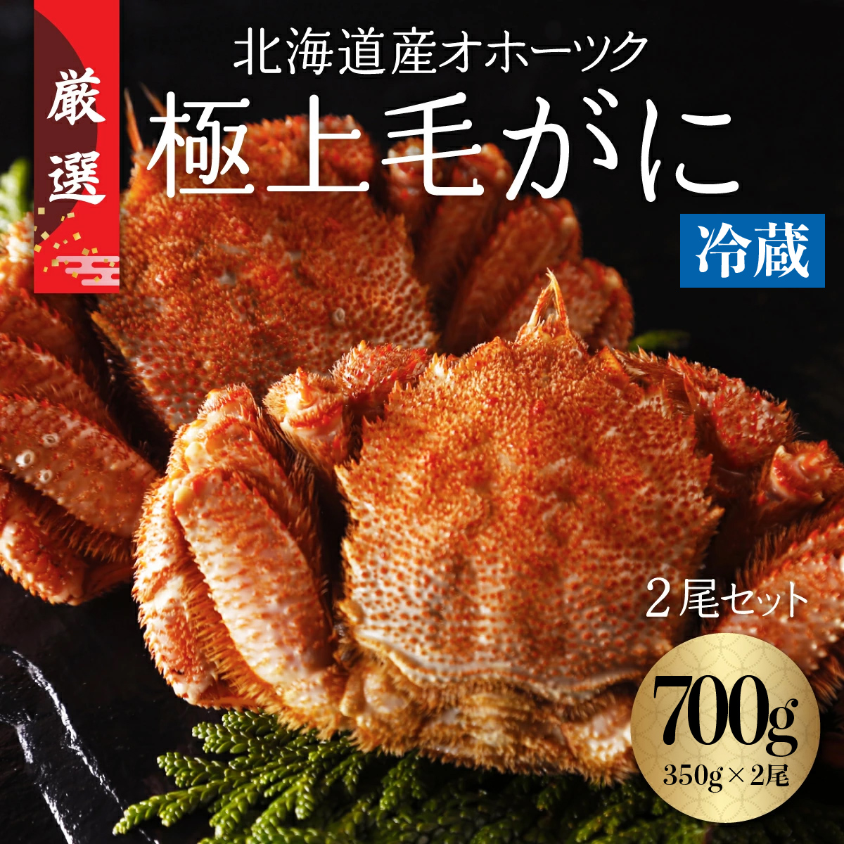 今だけ冷蔵配送!オホーツク網走の流氷明け浜ゆで毛ガニ2尾(1尾約350g) ABC031北海道網走市50000魚介・海産物カニ