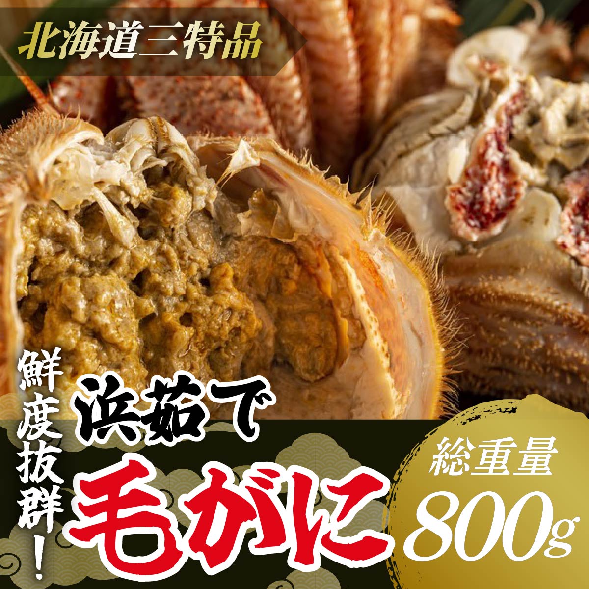 <網走産>三特浜茹で毛がに 約800g×1尾 ABW005北海道網走市33000魚介・海産物カニ