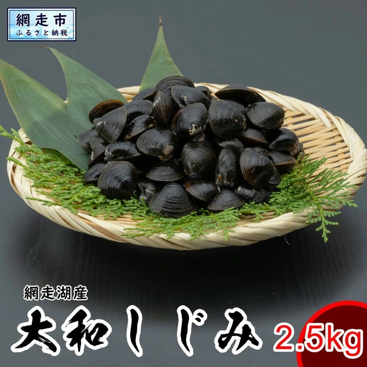 網走湖産 天然大粒 大和しじみ 2.5kg ※着日指定不可 ABX033北海道網走市18000魚介・海産物貝類