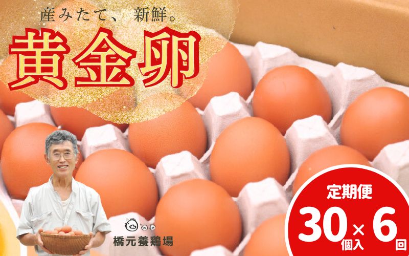 【定期便】産みたて新鮮卵 30個入り 6か月 定期便 | 卵 たまご 玉子 鶏卵 新鮮 濃厚 生卵 赤玉たまご 目玉焼き オムレツ 健康 産地直送 ※沖縄・離島への配送不可【aubless024】宮城県涌谷町48000