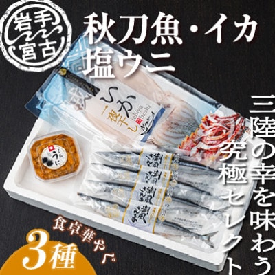 銱1pE4{E1P@3ZbgyzsnFzy1462936z茧{Îs26000ECY̑ ECY