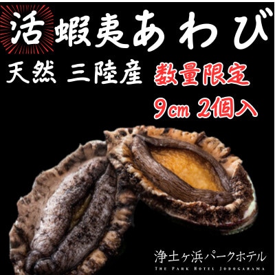 【先行予約(12月発送)】岩手県より獲れたて鮮魚直送便 【活蝦夷アワビ150g×2個】【配送不可地域:離島・北海道・沖縄・関東・信越、北陸・東海・近畿・中国・四国・九州】【1554527】岩手