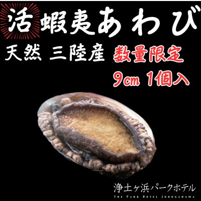 【先行予約(12月発送)】岩手県より獲れたて鮮魚直送便 【活蝦夷アワビ150g×1個】【配送不可地域:離島・沖縄・九州】【1557332】岩手県宮古市17000魚介・海産物貝類
