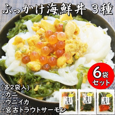 JuECN!ĜԂCN̋(EjCJEJjE{ÃgEgT[)v6ܗⓀZbgyzsnFzy1635137z茧{Îs19000ECY̑ ECY