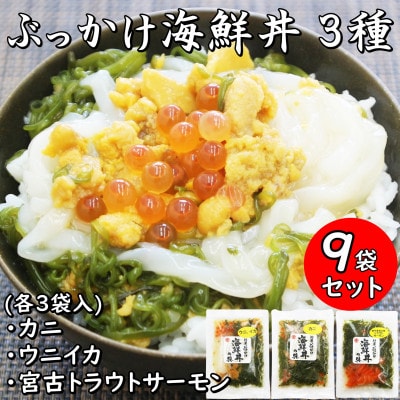 JuECN!ĜԂCN̋(EjCJEJjE{ÃgEgT[)v9ܗⓀZbgyzsnFzy1635147z茧{Îs26000ECY̑ ECY