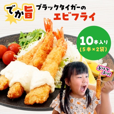 ł|!ubN^CK[̃GrtC 10{Zbg 18`20cm W{GrtCyzsnFzy1650575z茧{Îs13500ZbgE؁EHHi